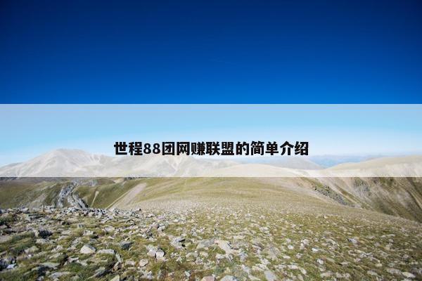 世程88团网赚联盟的简单介绍