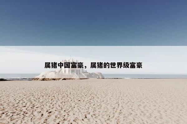 属猪中国富豪，属猪的世界级富豪