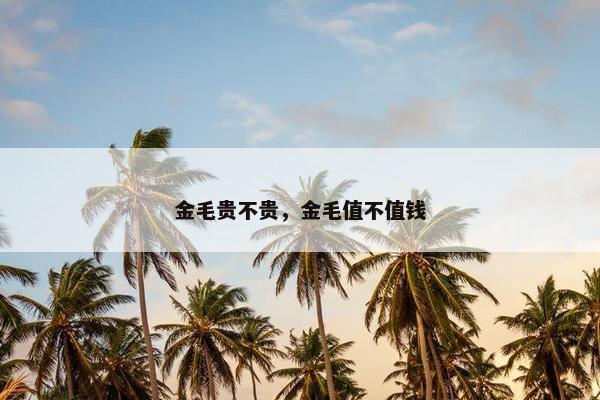 金毛贵不贵，金毛值不值钱