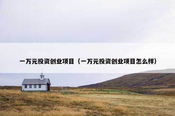 一万元投资创业项目（一万元投资创业项目怎么样）