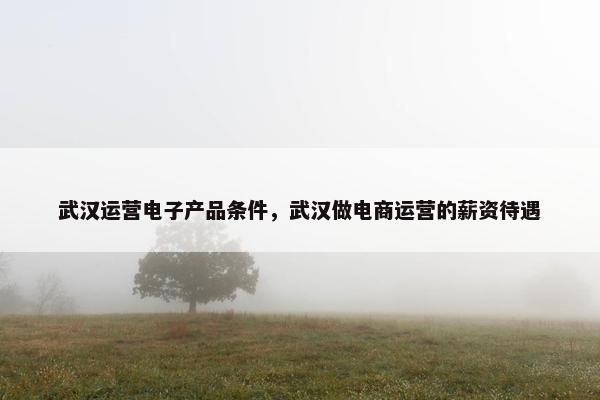 武汉运营电子产品条件，武汉做电商运营的薪资待遇