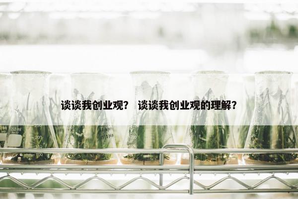 谈谈我创业观？ 谈谈我创业观的理解？