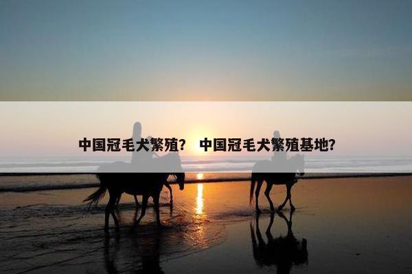 中国冠毛犬繁殖？ 中国冠毛犬繁殖基地？