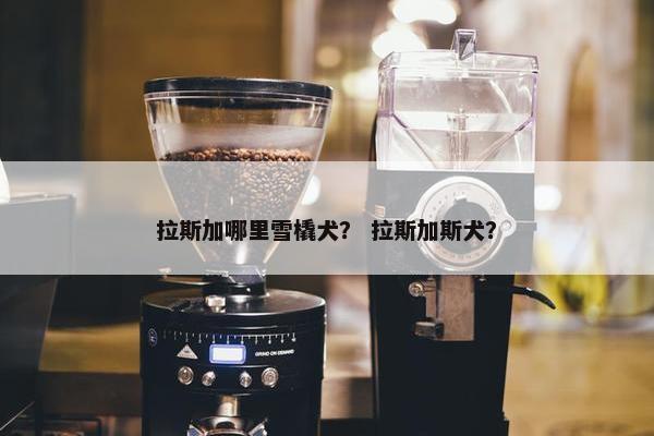 拉斯加哪里雪橇犬？ 拉斯加斯犬？