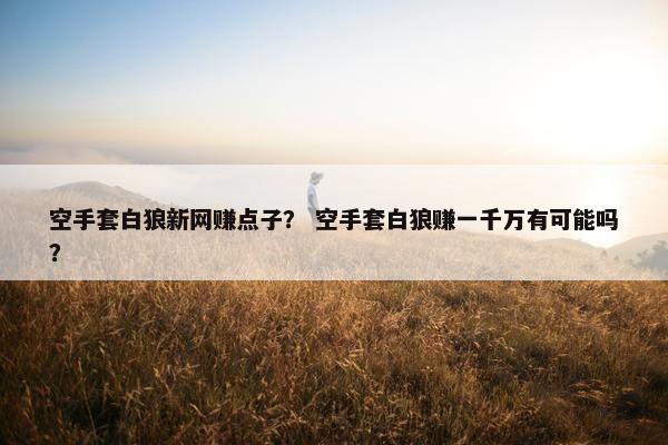 空手套白狼新网赚点子？ 空手套白狼赚一千万有可能吗？