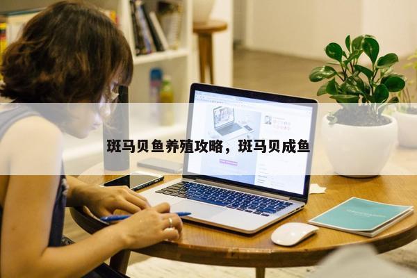 斑马贝鱼养殖攻略，斑马贝成鱼