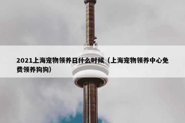 2021上海宠物领养日什么时候（上海宠物领养中心免费领养狗狗）