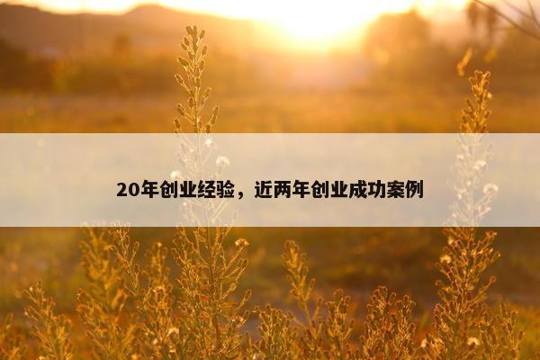 20年创业经验，近两年创业成功案例