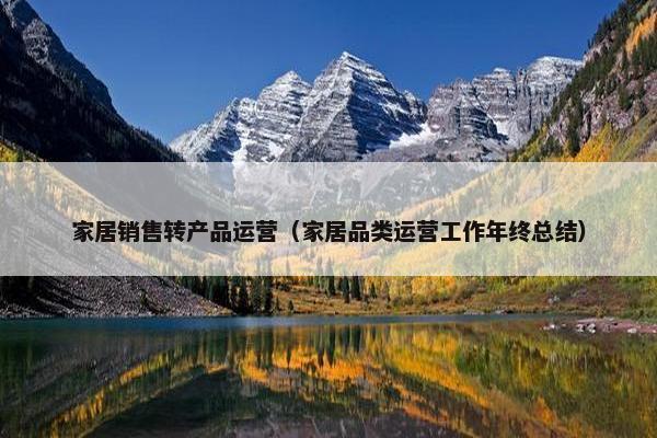 家居销售转产品运营（家居品类运营工作年终总结）