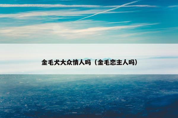金毛犬大众情人吗（金毛恋主人吗）
