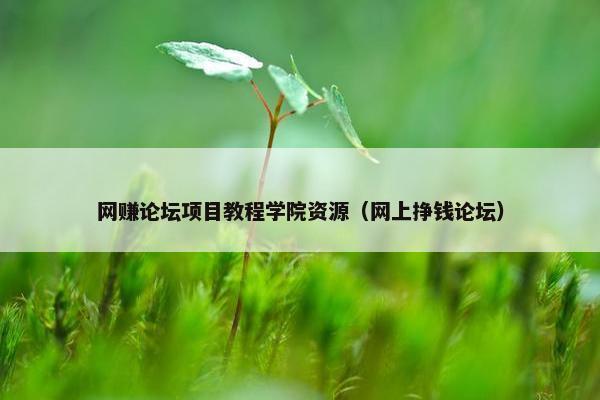 网赚论坛项目教程学院资源（网上挣钱论坛）