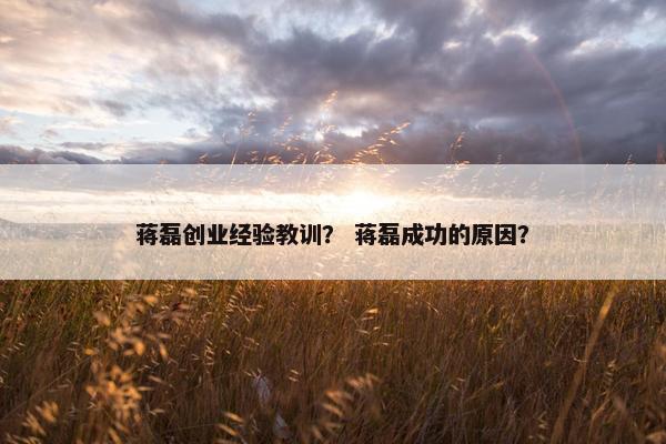蒋磊创业经验教训？ 蒋磊成功的原因？