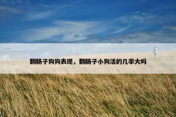 翻肠子狗狗表现,翻肠子小狗活的几率大吗