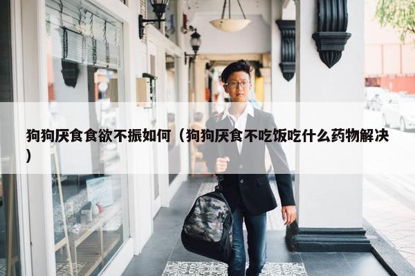 狗狗厌食食欲不振如何（狗狗厌食不吃饭吃什么药物解决）