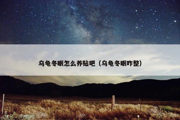 乌龟冬眠怎么养贴吧（乌龟冬眠咋整）