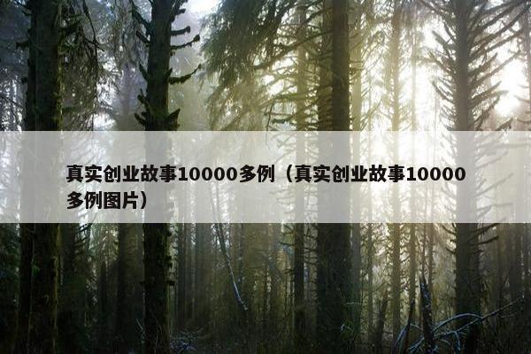 真实创业故事10000多例（真实创业故事10000多例图片）