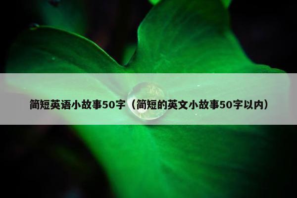 简短英语小故事50字（简短的英文小故事50字以内）