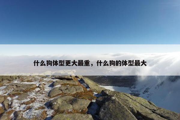 什么狗体型更大最重，什么狗的体型最大