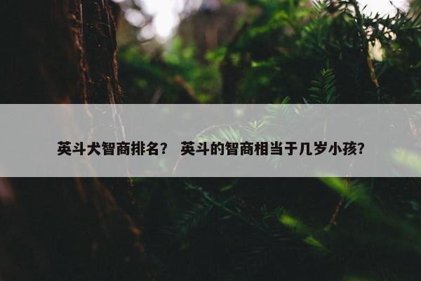 英斗犬智商排名？ 英斗的智商相当于几岁小孩？
