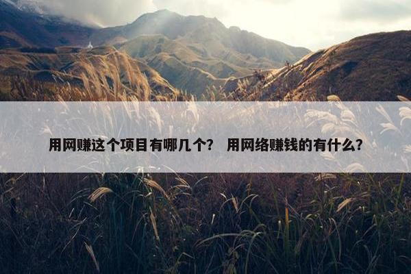 用网赚这个项目有哪几个？ 用网络赚钱的有什么？