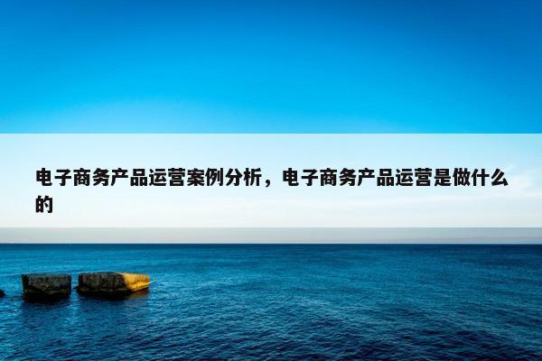 电子商务产品运营案例分析，电子商务产品运营是做什么的