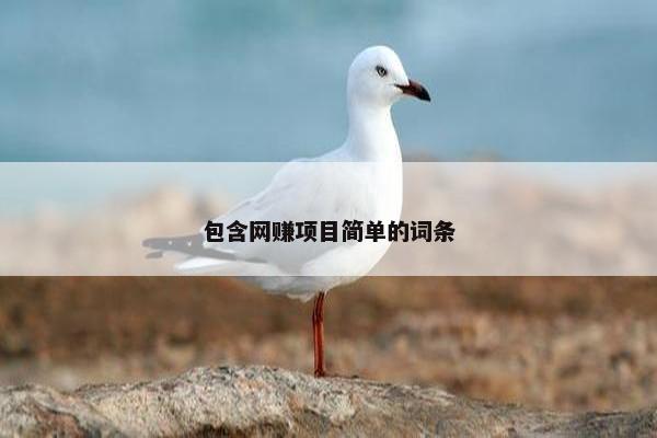 包含网赚项目简单的词条