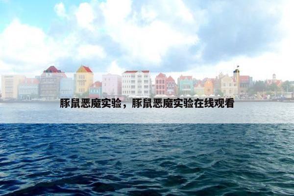 豚鼠恶魔实验，豚鼠恶魔实验在线观看