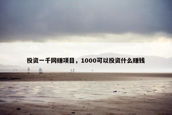 投资一千网赚项目，1000可以投资什么赚钱