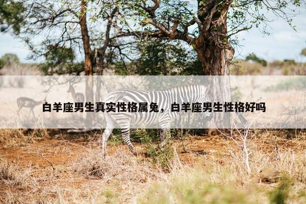 白羊座男生真实性格属兔，白羊座男生性格好吗