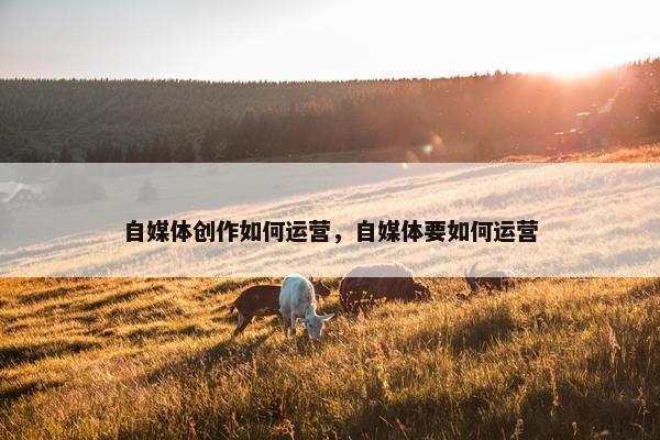 自媒体创作如何运营，自媒体要如何运营