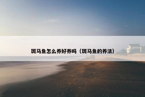 斑马鱼怎么养好养吗（斑马鱼的养法）