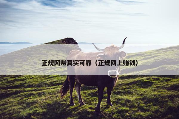 正规网赚真实可靠（正规网上赚钱）