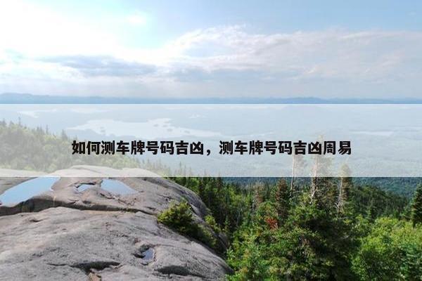 如何测车牌号码吉凶，测车牌号码吉凶周易