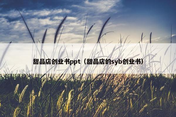 甜品店创业书ppt（甜品店的syb创业书）