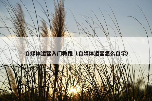 自媒体运营入门教程（自媒体运营怎么自学）