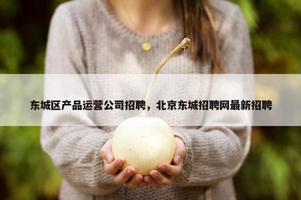 东城区产品运营公司招聘，北京东城招聘网最新招聘