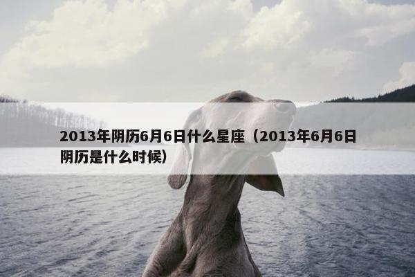 2013年阴历6月6日什么星座（2013年6月6日阴历是什么时候）