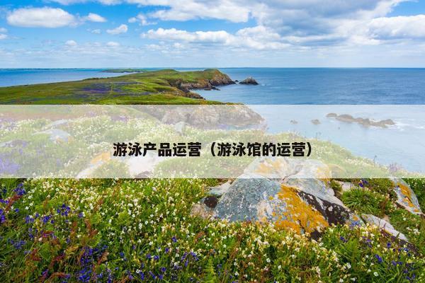 游泳产品运营（游泳馆的运营）