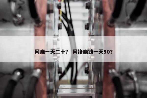 网赚一天二十？ 网络赚钱一天50？