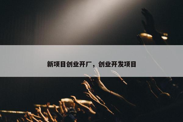 新项目创业开厂，创业开发项目