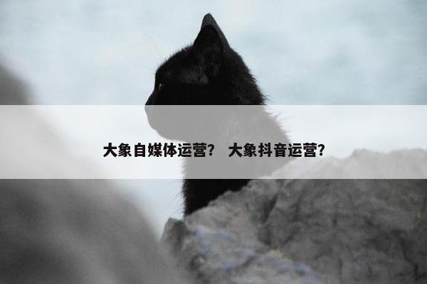大象自媒体运营？ 大象抖音运营？