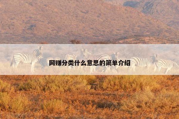 网赚分类什么意思的简单介绍