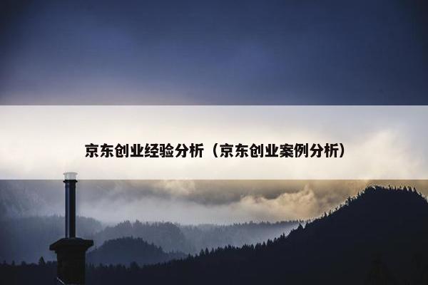 京东创业经验分析（京东创业案例分析）