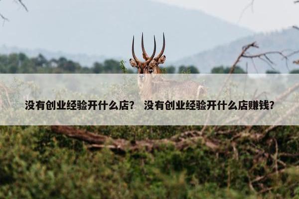 没有创业经验开什么店？ 没有创业经验开什么店赚钱？