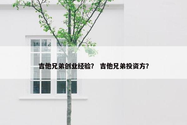 吉他兄弟创业经验？ 吉他兄弟投资方？