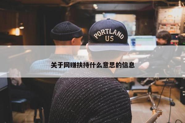 关于网赚扶持什么意思的信息