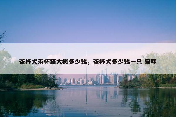 茶杯犬茶杯猫大概多少钱，茶杯犬多少钱一只 猫咪