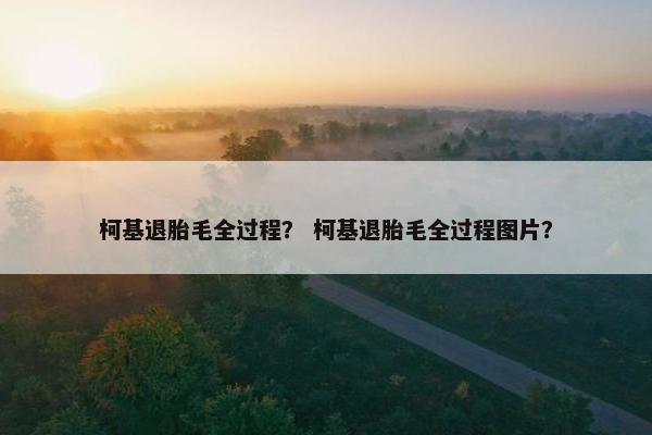 柯基退胎毛全过程？ 柯基退胎毛全过程图片？