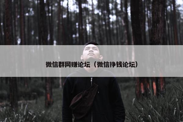微信群网赚论坛（微信挣钱论坛）