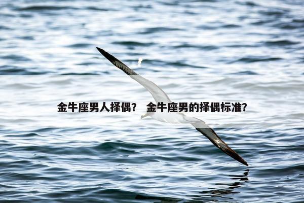 金牛座男人择偶？ 金牛座男的择偶标准？